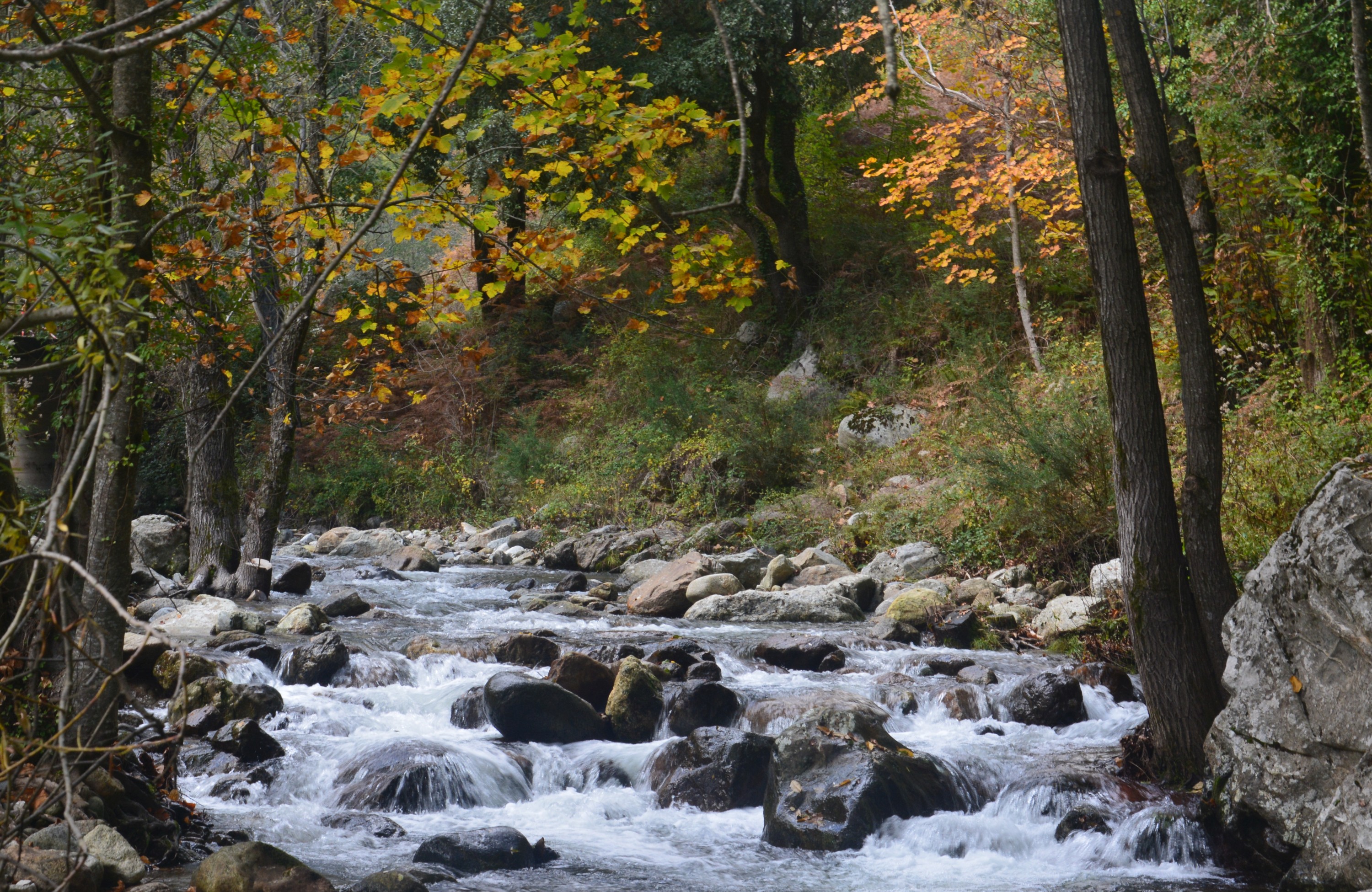fiume crocchio, valli cupe, sersale