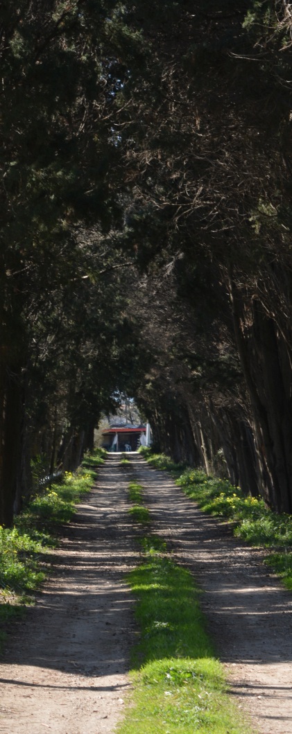 road to Cropani